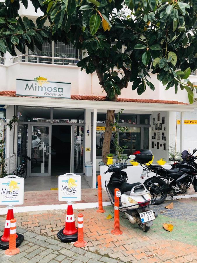 Mimosa Pension Kaş Eksteriør bilde