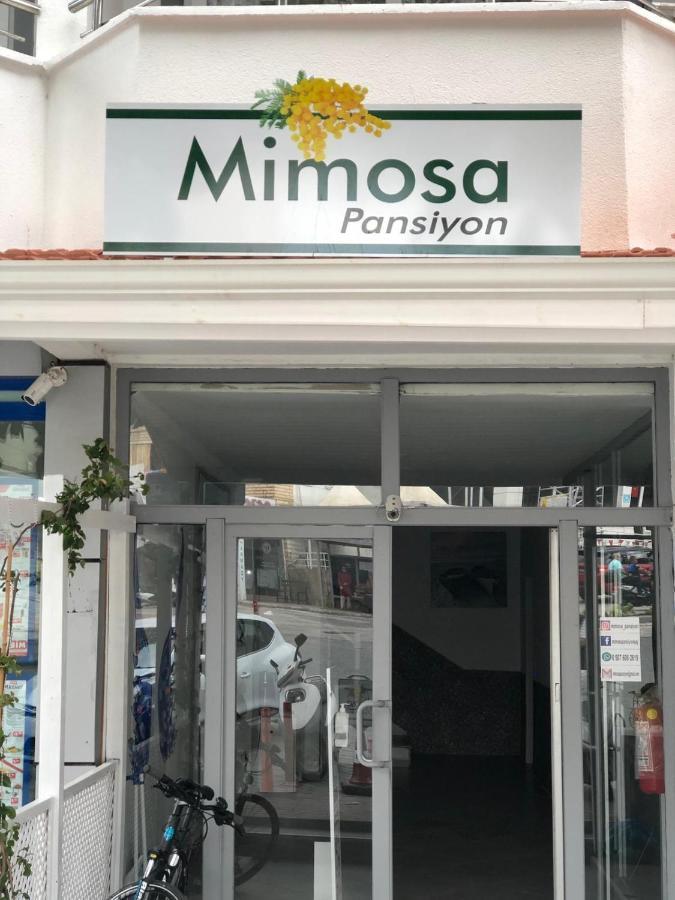 Mimosa Pension Kaş Eksteriør bilde
