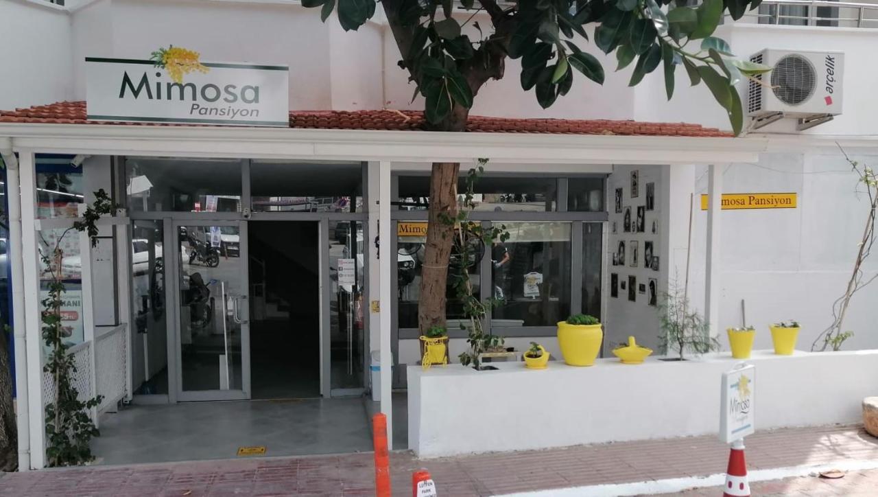 Mimosa Pension Kaş Eksteriør bilde